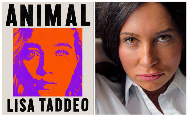 In Lisa Taddeos „Animal“ erzählt eine Frau mit einer schmutzigen Vergangenheit ihre eigene Herkunftsgeschichte zurück