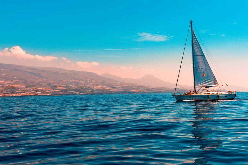 Skaneateles Sailing Club nabízí zážitek ze závodů plachetnic, soutěže nedávno přidané na olympiádu