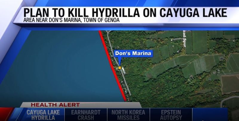 Cayuga Co Veselības departaments brīdina nepeldēties Kajugas ezerā pēc tam, kad kļūdas dēļ agri tika uzklāta hidrilas iznīcinoša ķimikālija