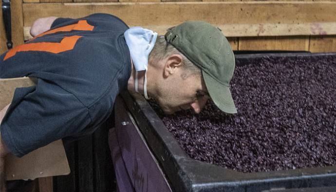 LITFL: Обоняние винограда на виноградниках Ventosa Vineyards и Atwater Vineyards
