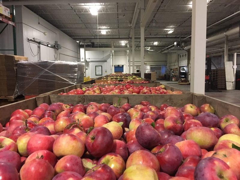 Jablečná sezóna v Finger Lakes: Co dělá region zralým pro růst?