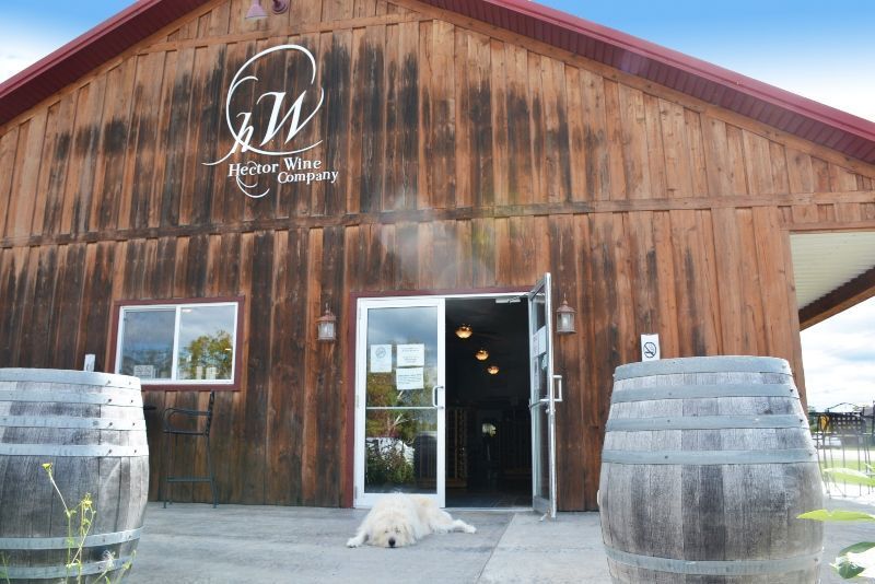 Hector Wine Company svin 10 gadus Finger Lakes