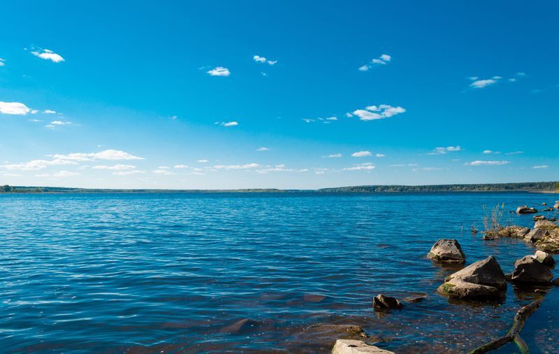 De mystérieuses taches vertes apparaissent dans le lac Canandaigua, les résidents demandent ce qu'ils sont