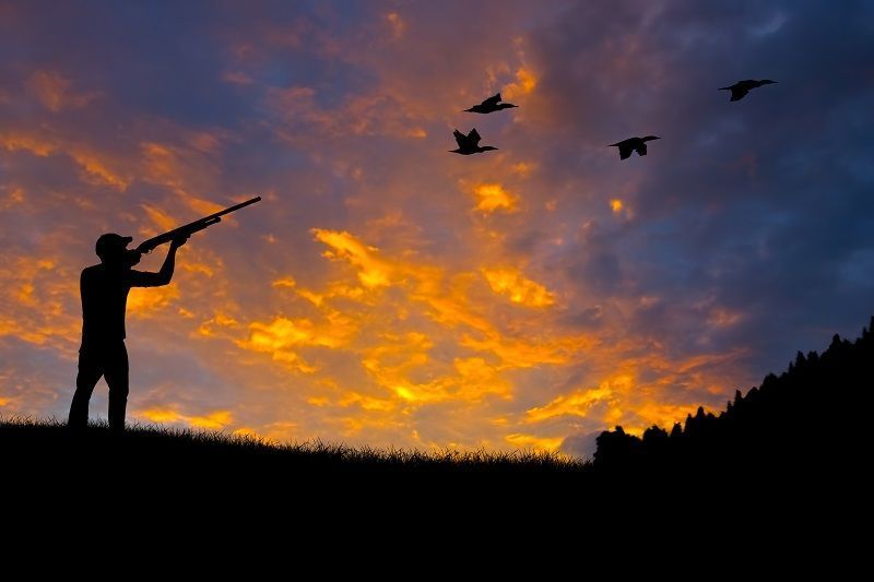 New York DEC anunță că majoritatea sezoanelor de vânătoare de vânat mic încep pe 1 octombrie
