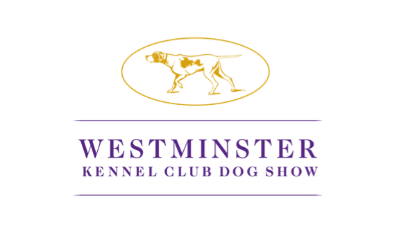Steuben County Frau nimmt mit Basset Hound an der Westminster Kennel Club Dog Show teil