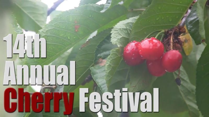 Cherry Fest tot un èxit a Varick Winery malgrat la pluja i els núvols (vídeo)