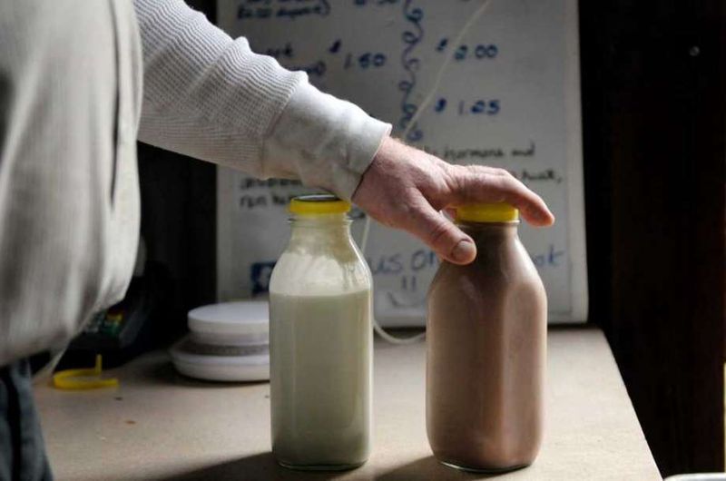 Potenciālais šokolādes piena aizliegums Ņujorkas skolās izraisa lauksaimnieku iebildumus