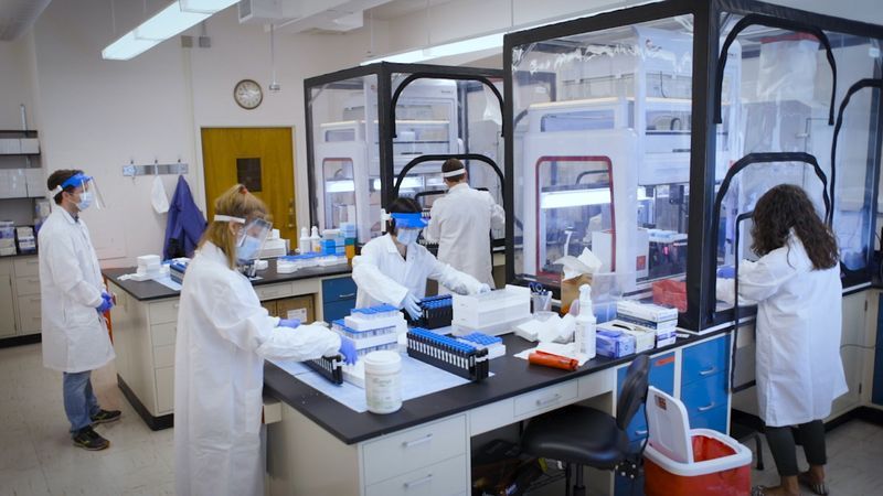 Cornell University buduje laboratoř pro testování koronavirů přímo v kampusu