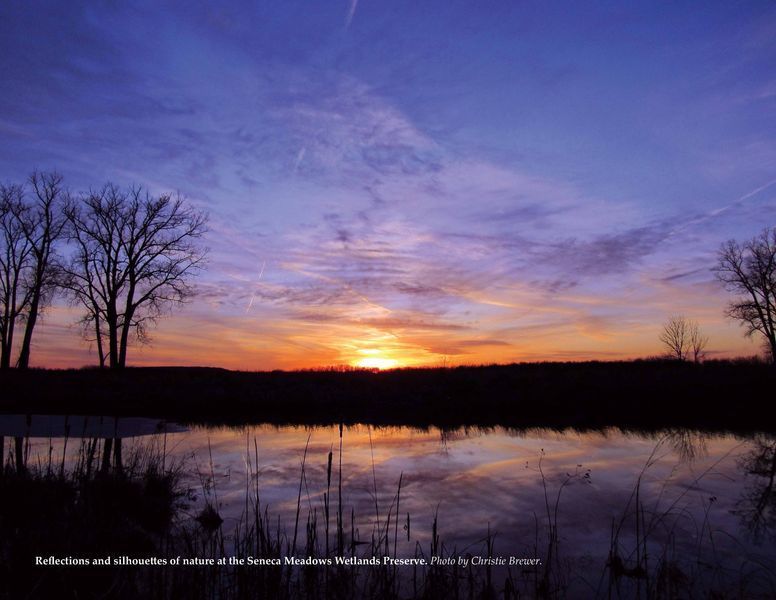 Rezervácia Seneca Meadows Wetlands Preserve oslavuje desaťročie úžasnými fotografiami