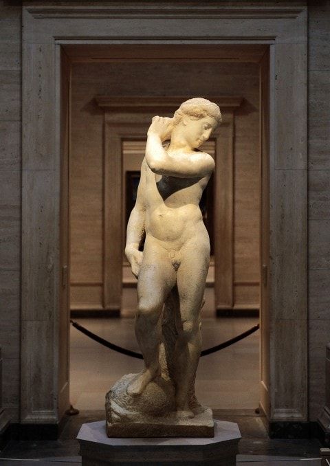 Michelangelo David-Apollo naaseb Washingtoni