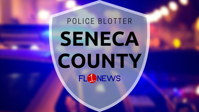 Policija: Muškarac iz Seneca Fallsa umalo je udario pješaka, kasnije optužen za DWI