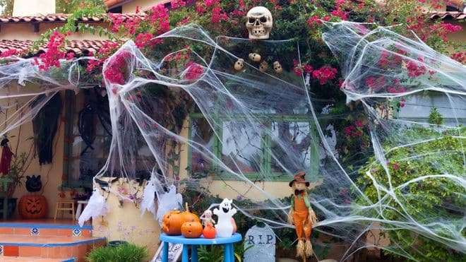 Halloween-Dekorationen könnten Wildtieren schaden