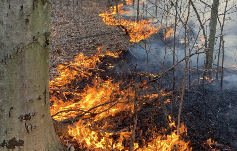 Rangers sniedz jaunumus par meža ugunsgrēkiem Steuben apgabalā: liesmas stundu laikā pieauga no 10 līdz 370 akriem