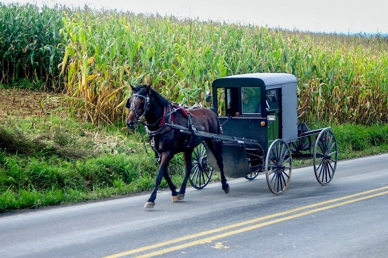 Amish-Buggy am Freitagabend in Madison County von Fahrzeug angefahren