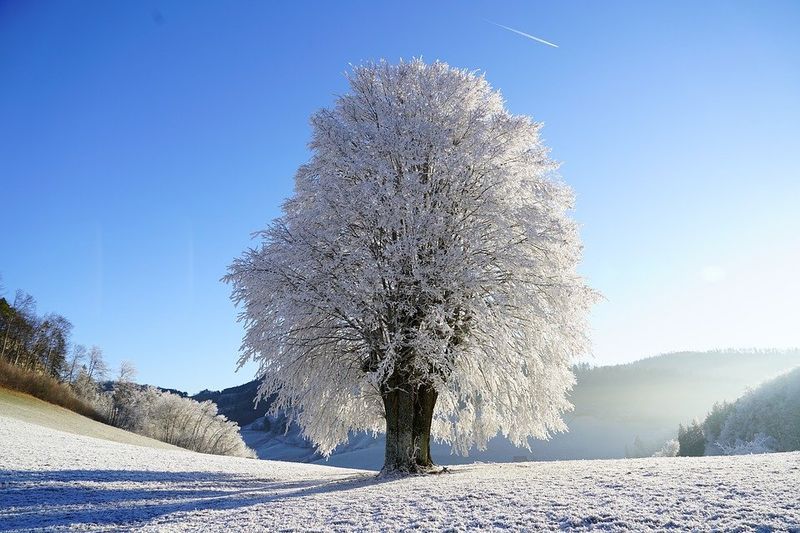 Meteorologové se připojují k Farmer’s Almanachu, který předpovídá chladnou a zasněženou zimu, která začíná v listopadu